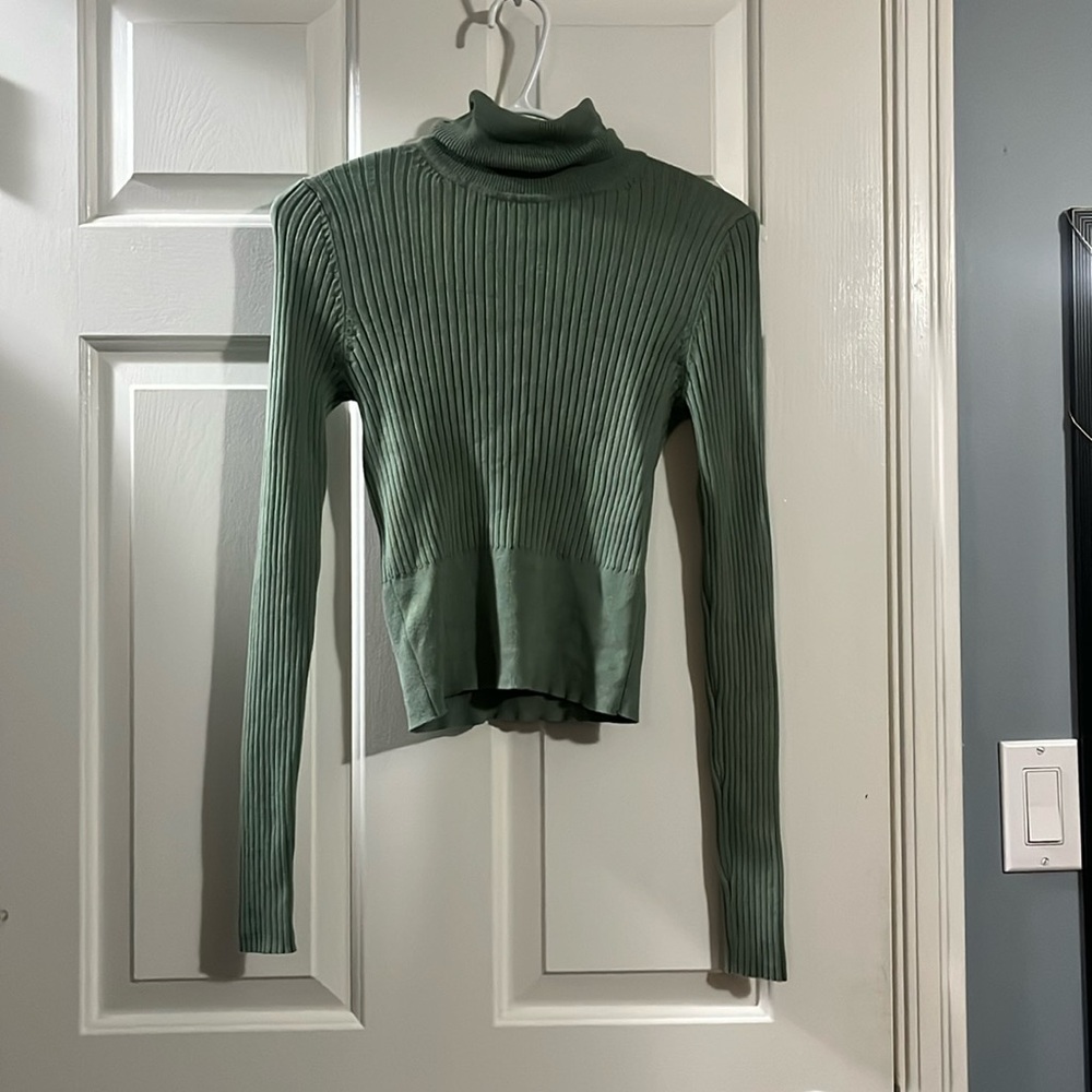 Zara Turtleneck